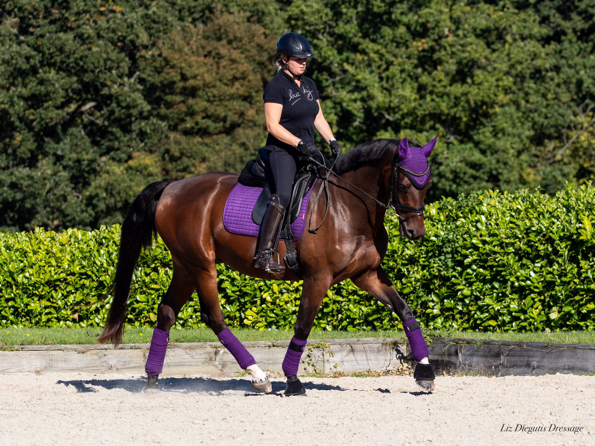 Lemieux Products Horsehealthcouk Twitter