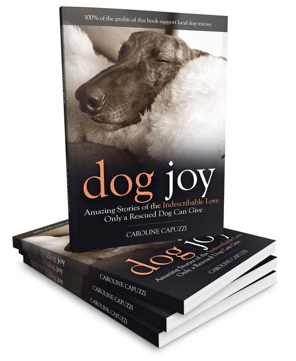 steubenpress's tweet photo. A big shoutout to author Caroline Capuzzi! We recently printed her heartwarming stories about the indescribable love only a rescued dog can give in her book, "Dog Joy".  Her website is https://t.co/NSZCMc3hih and Facebook page is https://t.co/uSSBBugVVw. https://t.co/xrkQ2Ca1cC