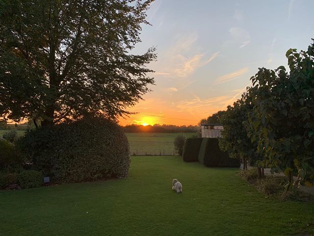 James Martin tweet media