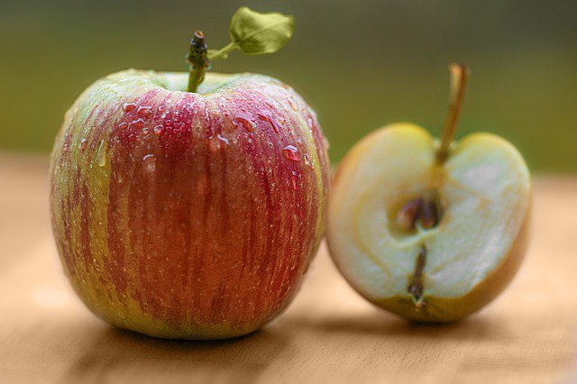 MTNWSTCider's tweet photo. We thank Johnny Appleseed for his part in making hard cider an every day, American drink of choice! Thanks for helping generations stay hydrated!
#johnnyappleseedday #hardcider #mtnwstcider #fallharvest #appleseeds #askforruby #utahcider https://t.co/DPperOL8en