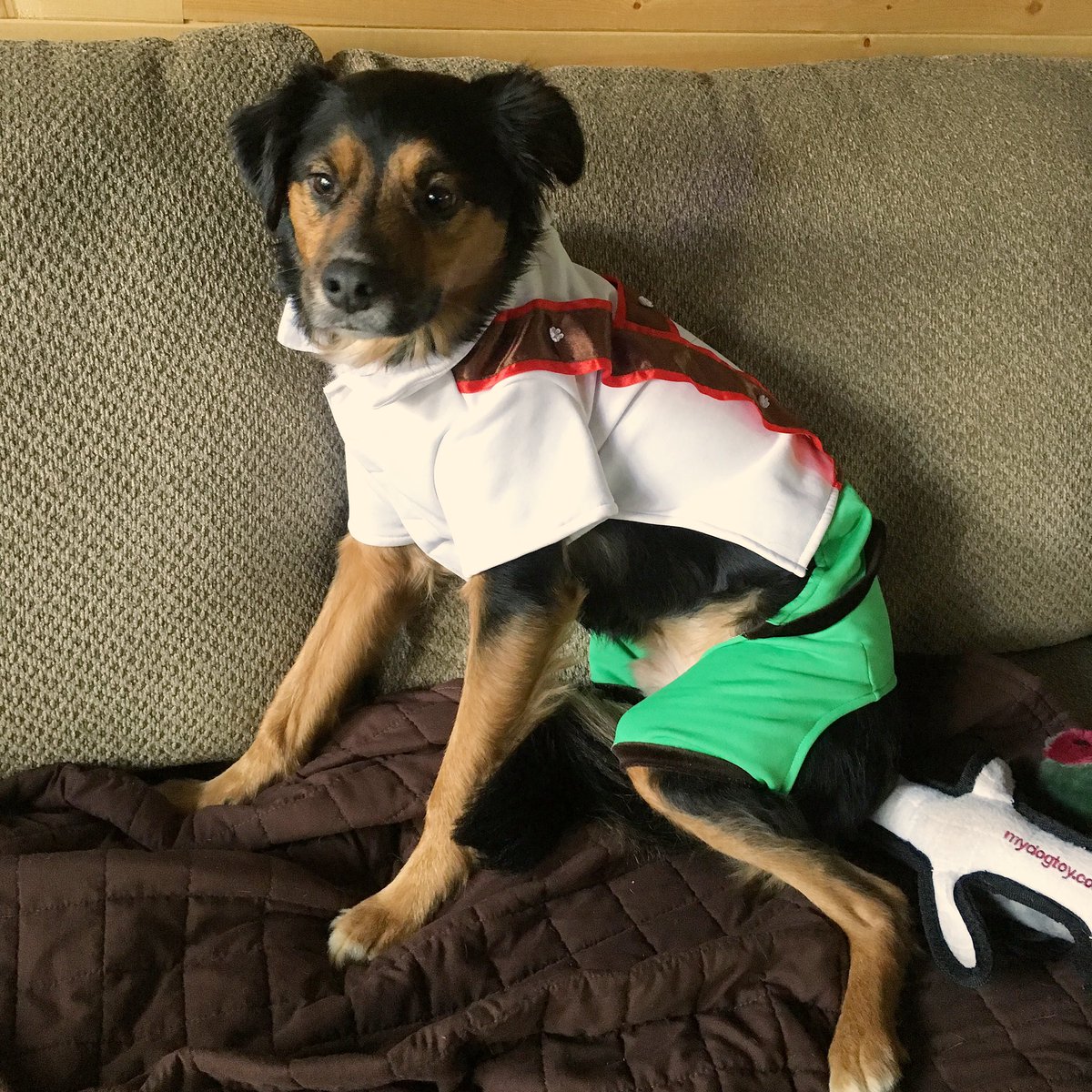 This Sunday, we celebrating Oktoberfest with BARKTOBERFEST! <a href="/BiggiesBullies/">Biggies Bullies</a> &amp; <a href="/CampBowWowPgh/">Camp Bow Wow Pgh</a> will be on-site from 2-5 PM and will host a costume contest for your dogs for the best Oktoberfest themed costume! Owners will win a special prize for the winner. Live music &amp; <a href="/BRGRpgh/">BRGR Pittsburgh</a>!