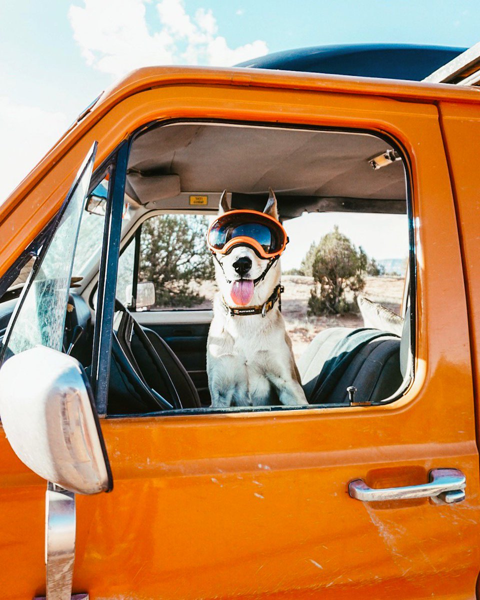 It's #NationalDogWeek and we're giving away an amazing prize package for you AND your dog, valued at over $250. Head on over to instagram.com/ruffwear to enter to win adventure gear from <a href="/HeadsweatsCo/">HEADSWEATS</a> <a href="/BIXBIPet/">BIXBI</a> <a href="/BindleBottle/">Bindle Bottle</a> <a href="/rexspecsk9/">Rex Specs K9</a> and more!