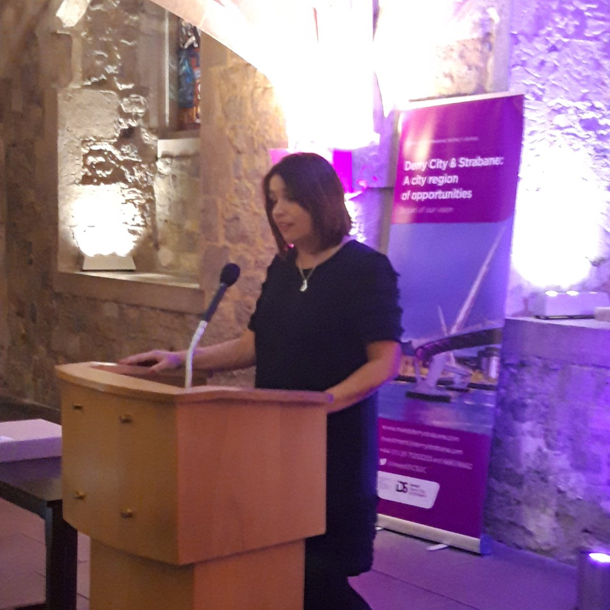 Foyle MP Elisha McCallion drives home the message that we must keep up the momentum behind the #CityDeal and the Vision and Outline Bid Proposal Document presented to senior government officials today and the compelling proposition it offers.