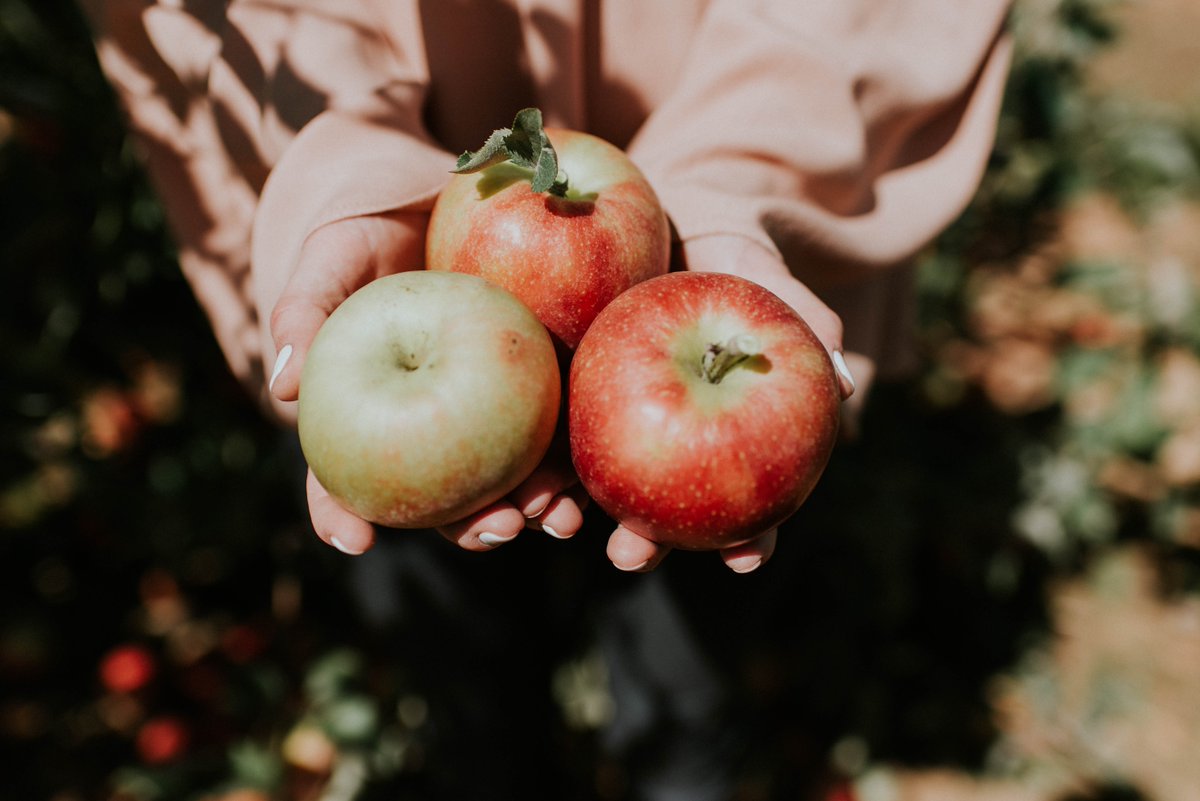 Did you know - apples are extremely rich in important antioxidants, flavanoids, and dietary fiber. #welovefruit