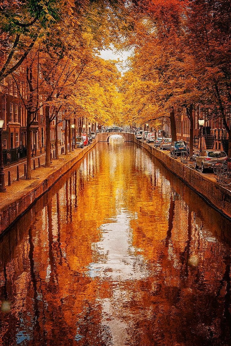 nctascities's tweet photo. Taeil
Amsterdam, Netherlands

⊹ Autumn Theme ⊹

#Taeil #NCT #태일 #엔시티 https://t.co/KWcAWqaWmj