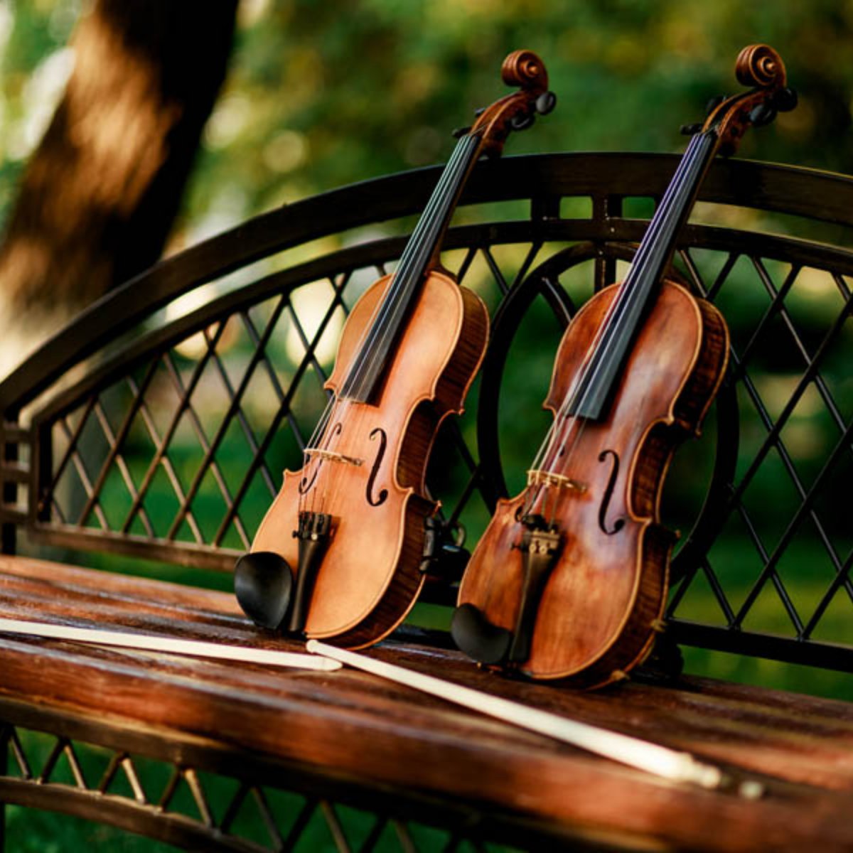 antoniostrad's tweet photo. We carry everything you need for your string class including book.  Order your rental instrument and supplies online https://t.co/qivmiYhrwb https://t.co/2WbZd9bxen