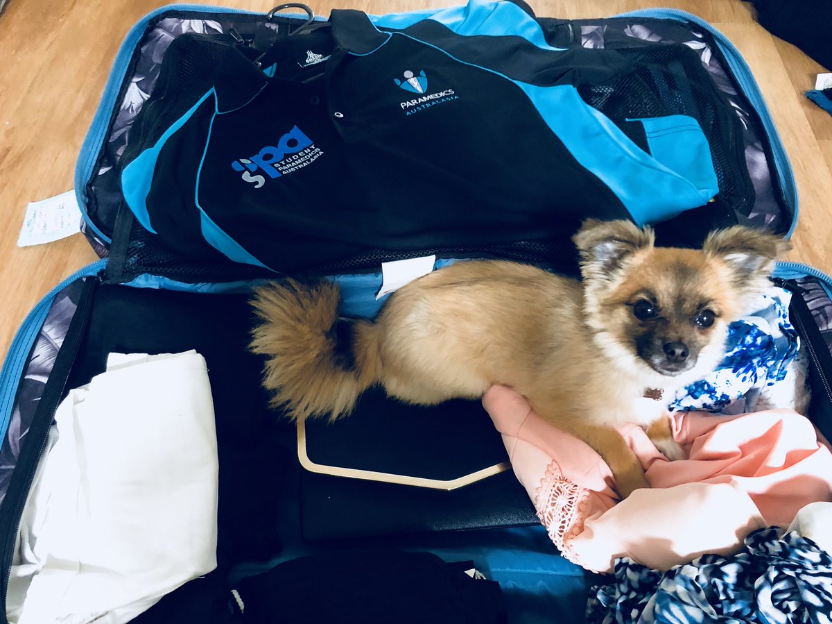 BrittShaw94's tweet image. When @Dyl_Williams90 says to only pack the necessities for #SPAIC2018 🤷🏼‍♀️ #SPAw #SPAMascot