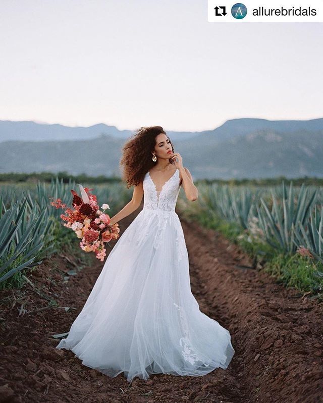 Airó Events tweet media