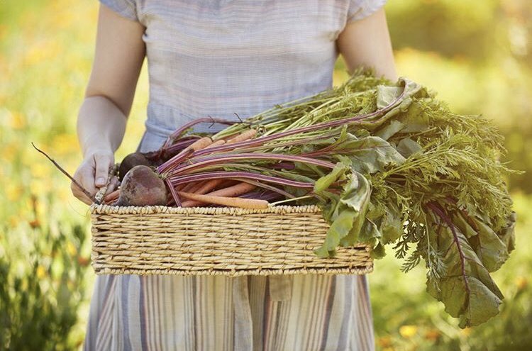 We are introducing our fall menu with a special 4-course Harvest Dinner that celebrates the best of Autumn's bounty. The menu draws on generations of Italian heritage and highlights the season's finest. There is no better way to celebrate the bounty of fall. Join us!
