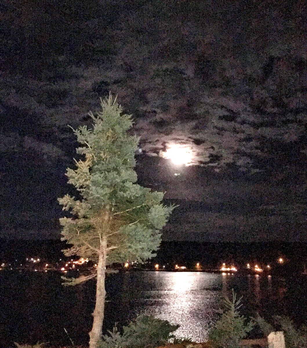 Aschoonerinn's tweet photo. Guests are all tucked in bed with only the light of the silvery moon
#holyroodNight
#LoveSept
#OceanReflection
#GuestRoomView https://t.co/D0041ZgVP8