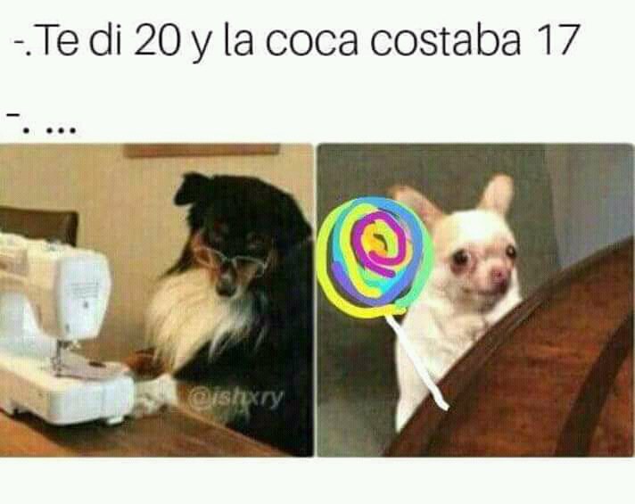 cosito de la pizza (@elcosodelapizza) on Twitter photo 