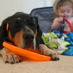 Photo by LifeWithMutts (@lifewithmutts)
