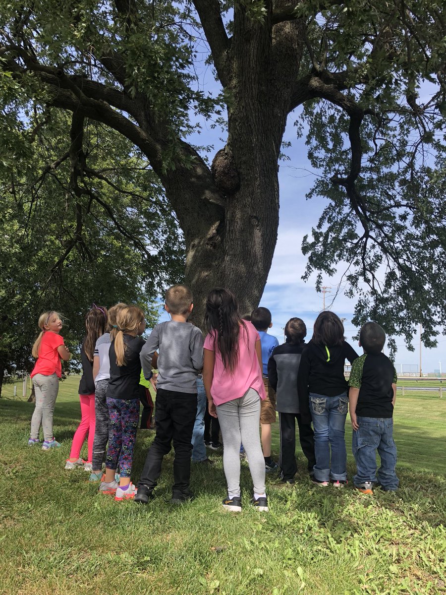 Mrs_Maberry's tweet photo. Since first graders are learning about habitats, we took a walk today and talked about trees and how different animals use trees as shelter. #scienceisfun #KCErocks https://t.co/06Lg53Ezlj