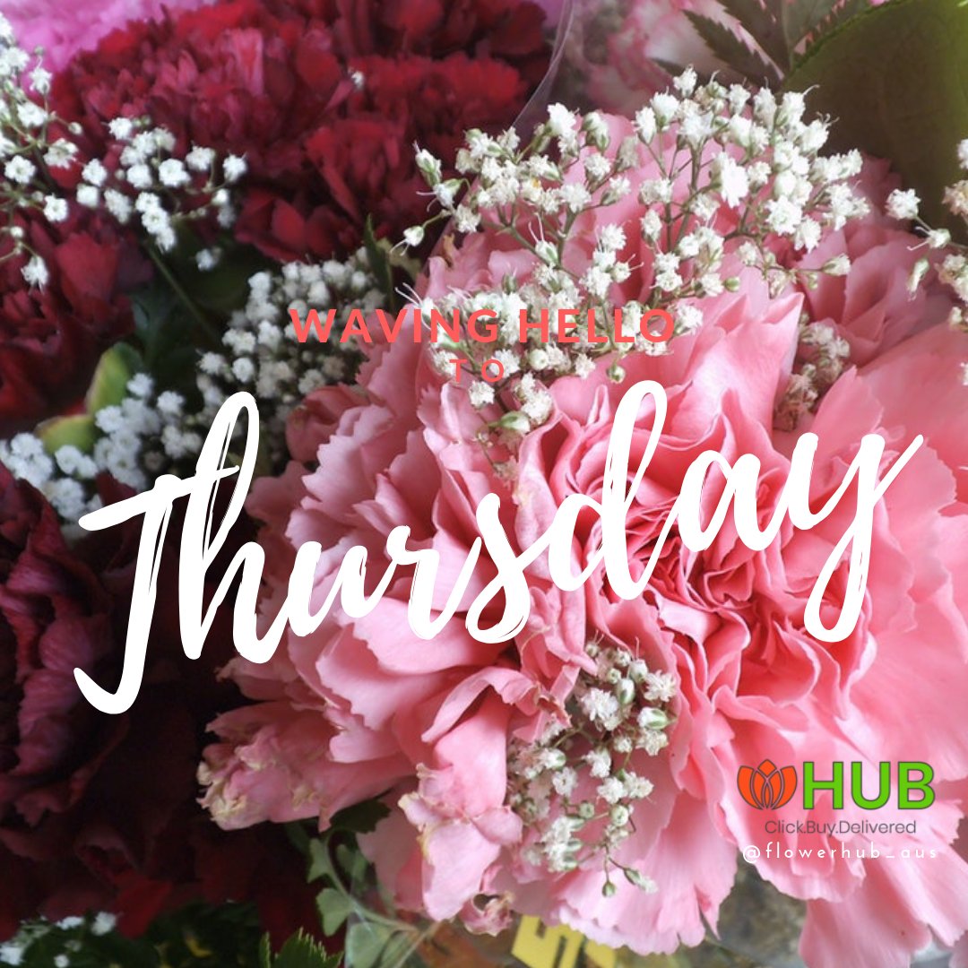 flowerauction's tweet photo. Hello Thursday 👋 🌸
Follow us on instagram 👉 https://t.co/sdBneQXB7E https://t.co/KRrDbpzboR
