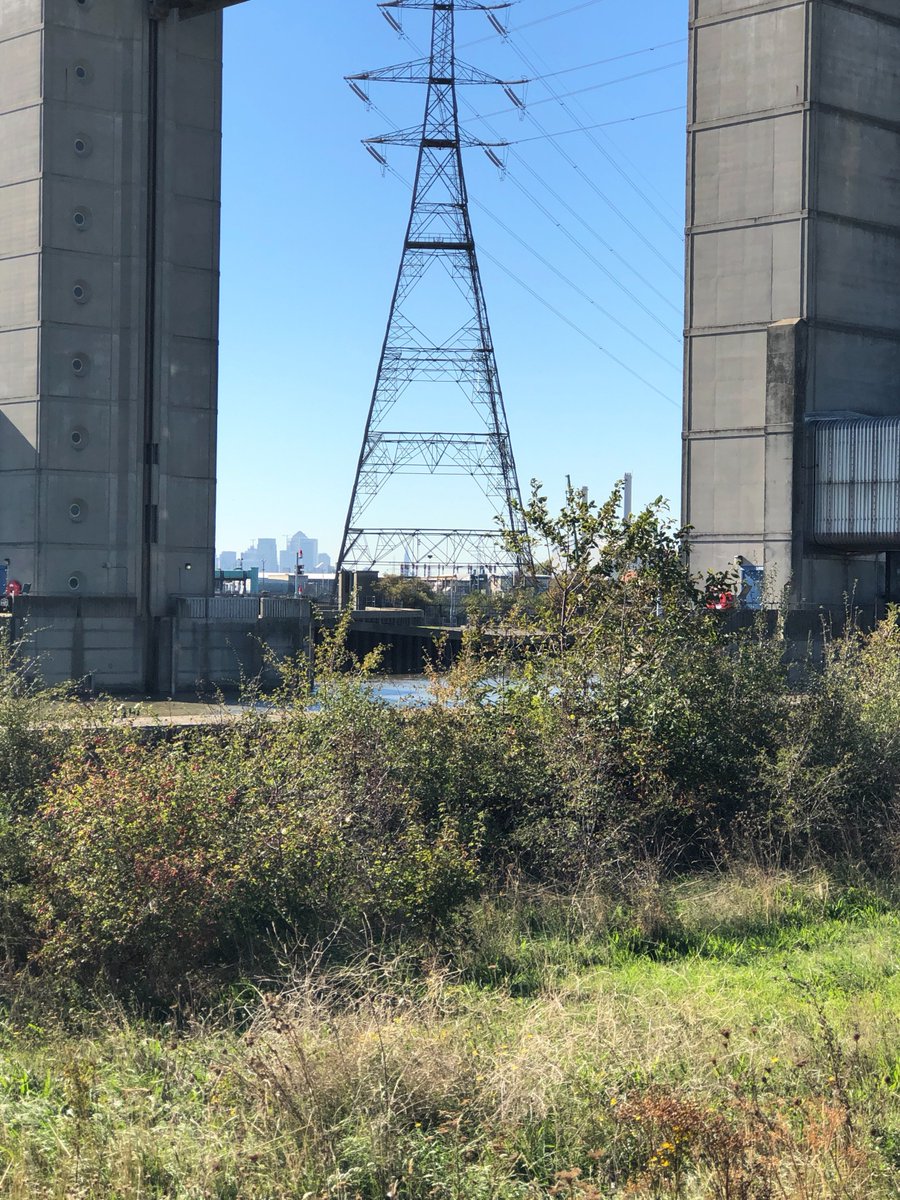 BrutalHouse's tweet image. Barking Barrier
Creekmouth
—
Photo: This Brutal House
26.09.18

@pylonofthemonth
