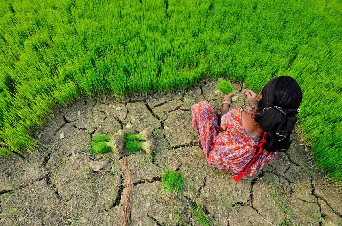 WorldResources's tweet photo. Ultimately, #adaptation is about doing development differently in response to #climate change. https://t.co/Jbib3AKCA8  #OnePlanetSummit #ClimateWeekNYC #UNGA https://t.co/kc1q5qus8m