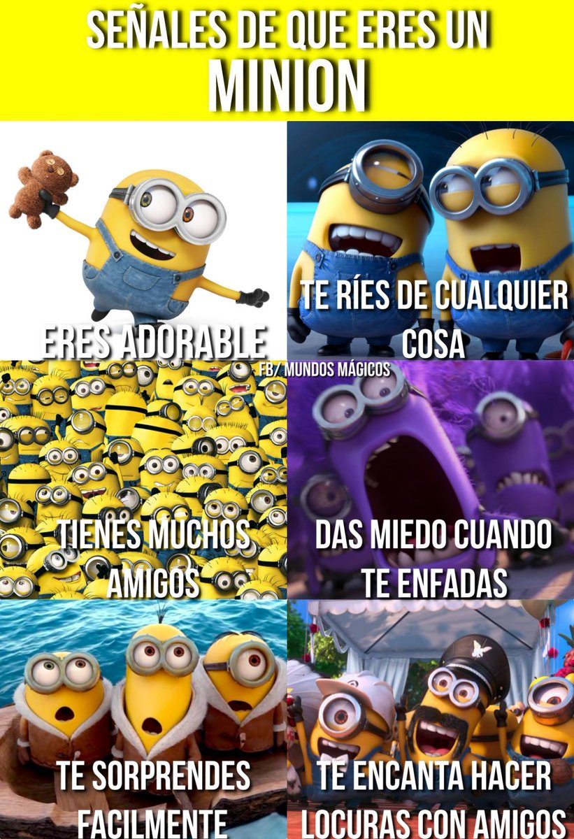 Mundos Mágicos tweet media
