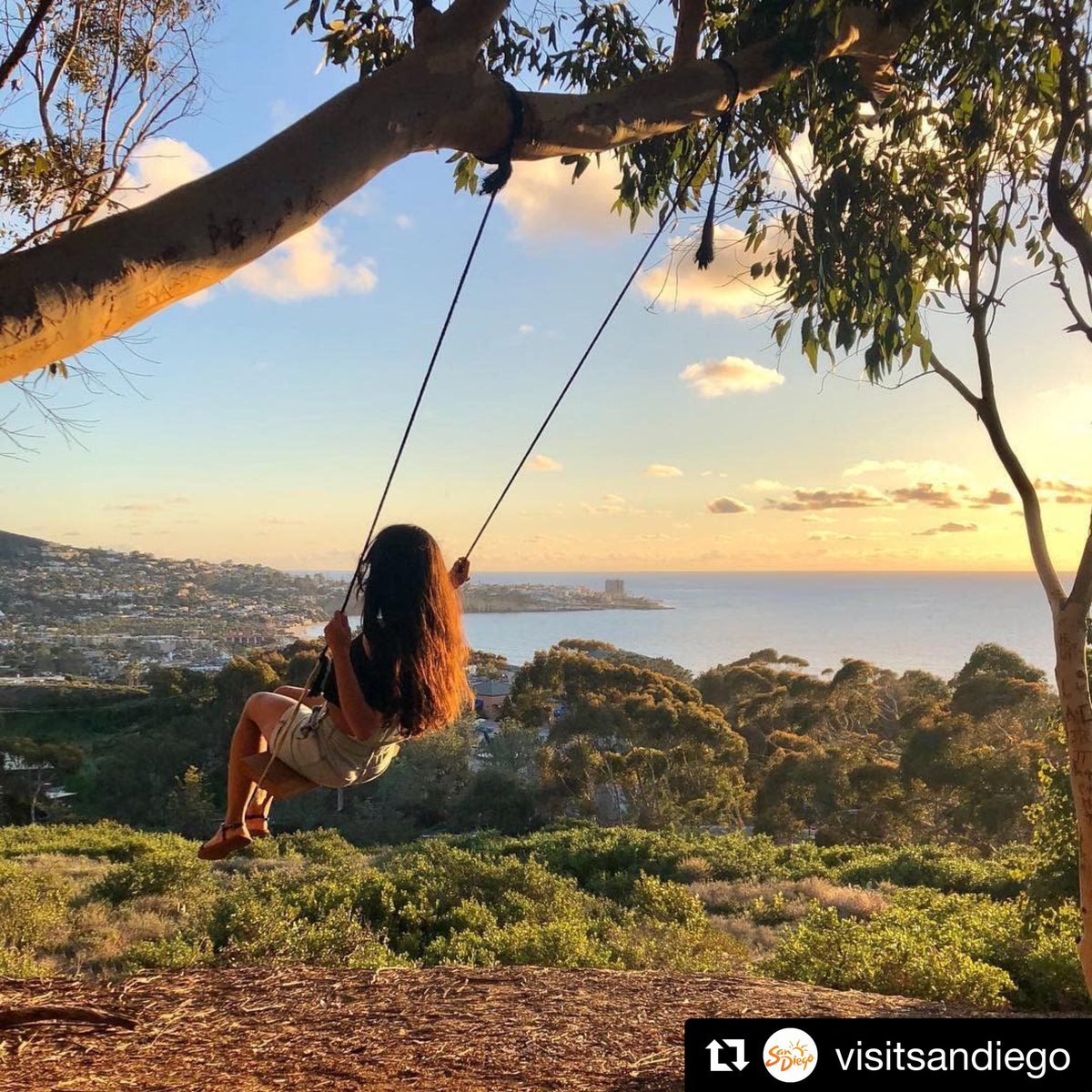 PantaiInn's tweet photo. Have you found the secret swings of La Jolla yet? 📷: @visitsandiego #purebliss #adventureawaits https://t.co/6flHRUSado