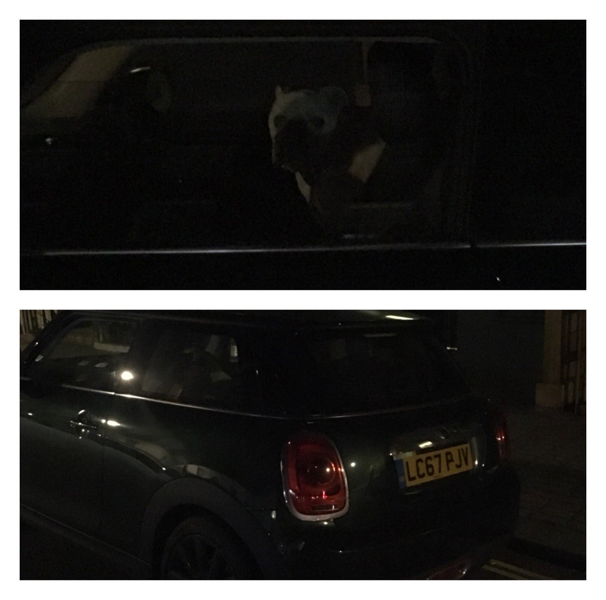 Well done @RSPCA_official !!!!!!! I called today to report a dog left in th car for more than 30minutes... the response was: “that time of the night is ok”... I so much kept myself not swearing to the uneducated bitch on the phone... #pathetic #shameonyouRSPCA #dog #unacceptable