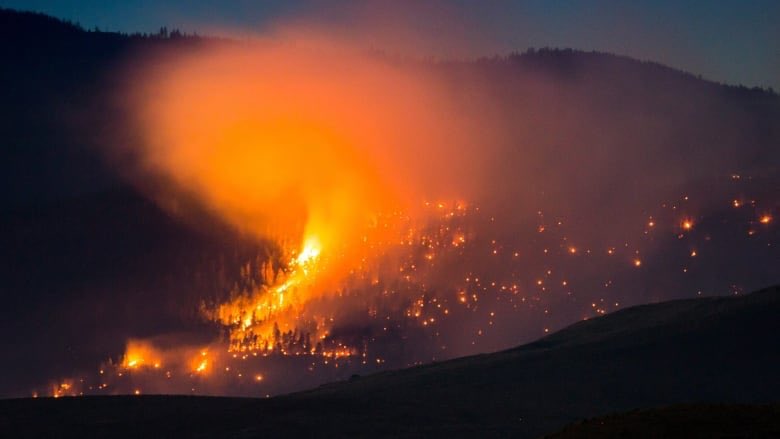 ForestFiresGone's tweet photo. British Columbia recent wildfire https://t.co/ZFihpVgyoD