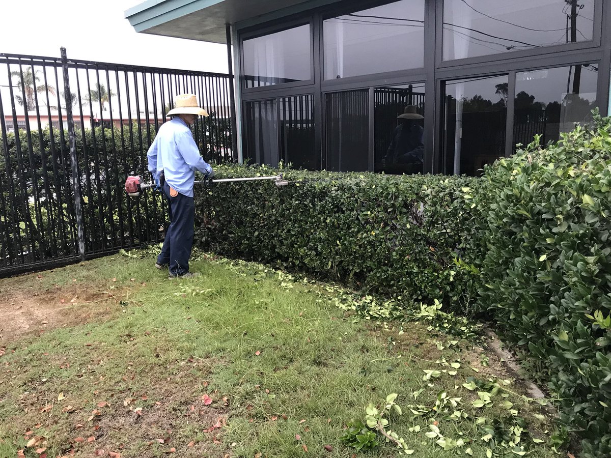 SC_NSD's tweet photo. El Toyon: Glenn Whitaker working hard trimming hedges.#NSDnow https://t.co/VVHyNavNlZ