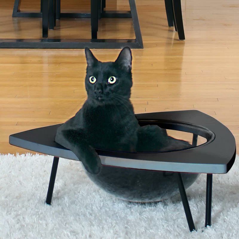 Jeff VanderMeer on X I feel like I ve contributed to the fall of civilization just by googling mid century modern cat furniture. https t FfthB5lY2t X