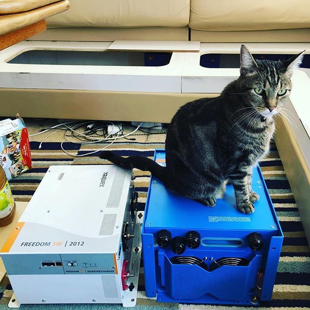 Technomadia's tweet image. Cats know best. @kiki_technomadia has selected the inverter we’ll install: Victron Quattro 24/5000. 
Which means our 18 mo old  Xantrex Freedom 2012 is now seeking a new home. Be in touch is interested. #victronenergy #boatprojects #electricalupgrades #l… ift.tt/2zwGWCH