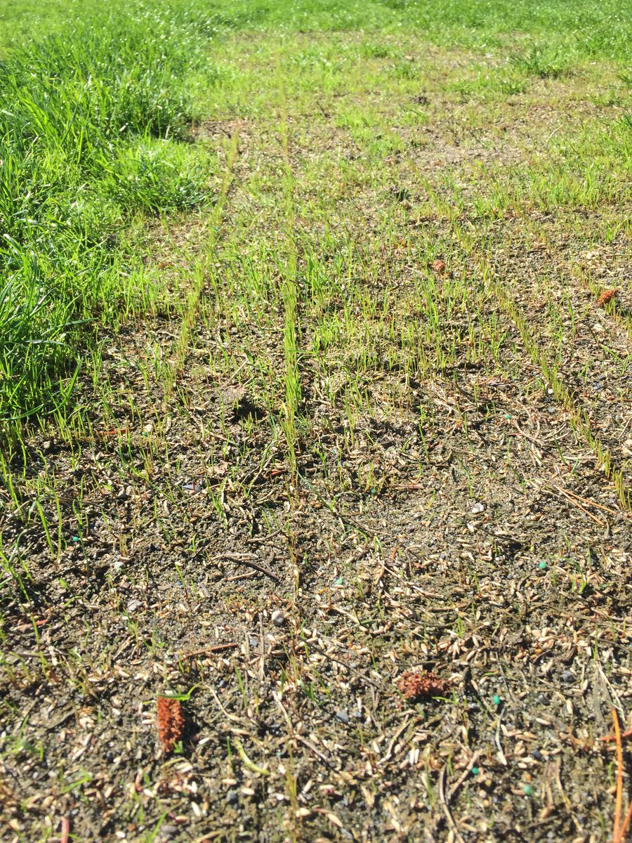 7 days <a href="/Sharpee2/">Sharpee🇨🇦</a> hopefully the areas will fill in nicely! Thanks again!