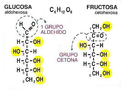isalopezcastro's tweet photo. Los átomos de carbono de un monosacárido (menos uno) tienen un grupo alcohol (-OH). El átomo restante tiene unido un grupo carbonilo (C=O). Si este se encuentra en el extremo de la cadena es un grupo aldehído (-CHO), y en cualquier otra posición es una cetona (-CO-) #BIOglucidos https://t.co/oU1k8zwX9Q