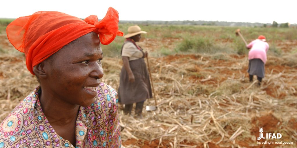 IFAD's tweet photo. Rural women must be at the centre of development. 

None of the #SDGs is achievable unless we also achieve #SDG5: gender equality and the empowerment of women and girls.

#UNGA @GHoungbo @_AfricanUnion #zerohunger https://t.co/xFW2owebhY