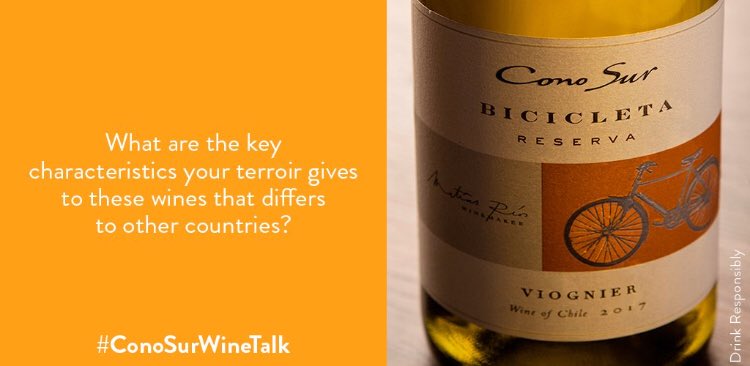 🍾🍷PIETROVINI🍷🍾 tweet media