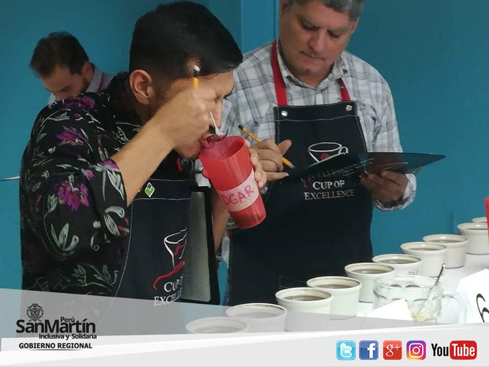 CAFETALEROS DEL ALTO MAYO PARTICIPARÁN EN ETAPA NACIONAL DE “TAZA DE EXCELENCIA 2018” web.facebook.com/regionsanmarti…