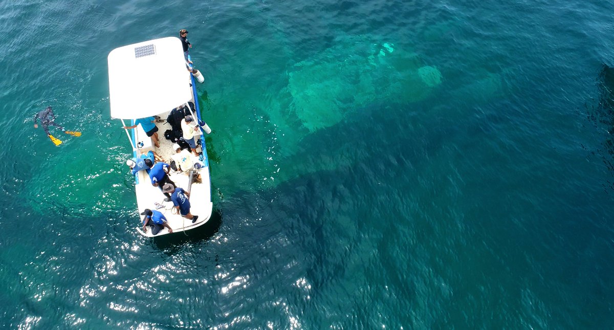 Introducing Pure Grenada's new and exciting dive attraction, the Tyrrel Bay. Just in time for the #PureGrenadaDiveFest October 3-6. <a href="/grenadadiving/">Pure Diving Grenada</a> <a href="/GrenadaHotel/">Grenada Hotel</a> #freetowonder #outofthisworld