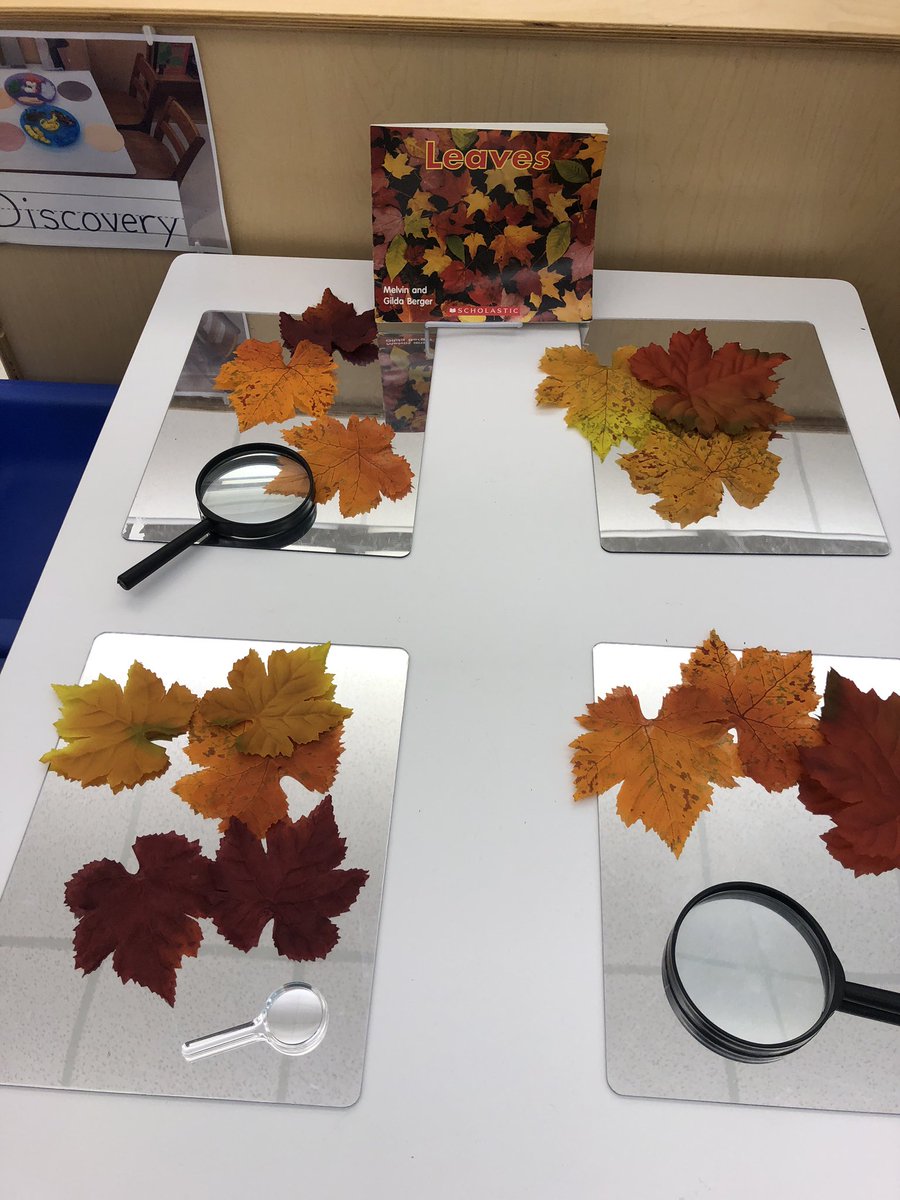 WPSSicomac's tweet photo. Provocations. Fall 🍂. #coconstructing the alphabet @DehlerPaige #reggioinspired https://t.co/zSkF4NIPNz