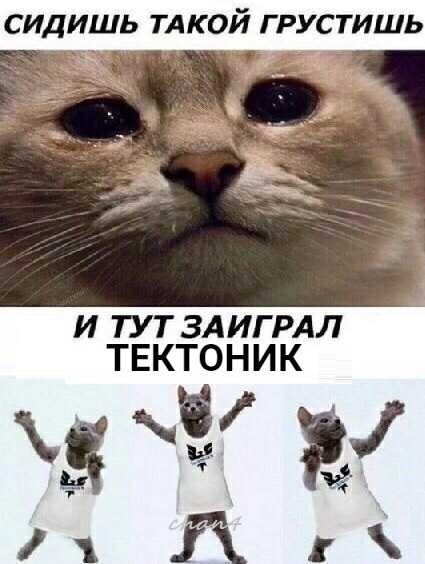 rus_4chan tweet picture