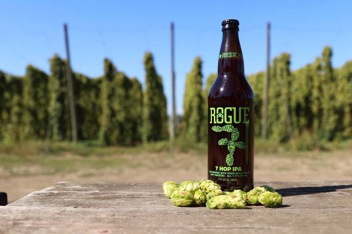 RogueAles's tweet photo. 2018 Rogue Hop Harvest has come to a close @RogueFarms. Thanks to our farm team, more 7 Hop IPA and other farm beers are in our near future. #RogueHopHarvest #7HopIPA https://t.co/NhT9jwDksx