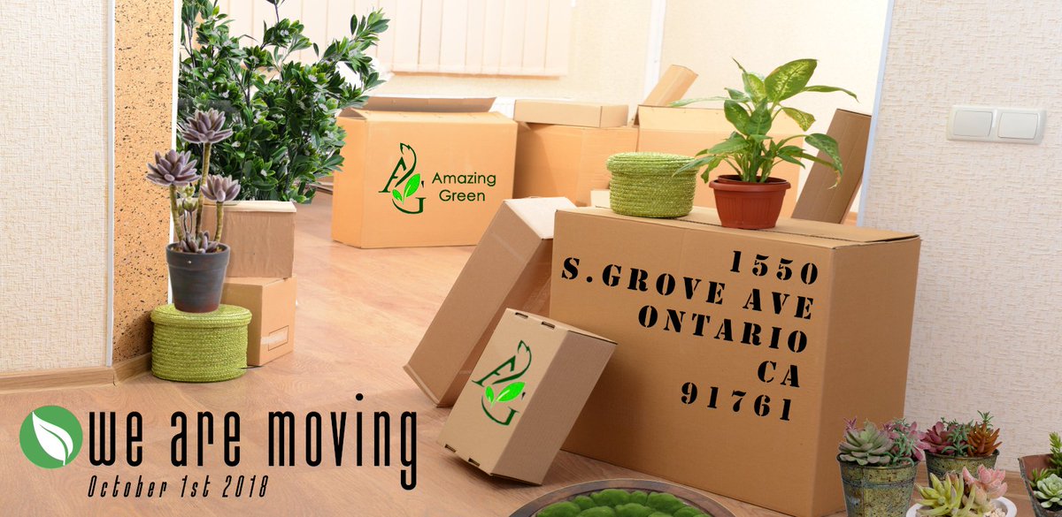 AmazingGreenInc's tweet photo. who is ready for the big move?

Oh, you didn't hear? we are moving to a bigger, better and badder location :). Different location...same great service! https://t.co/t6PXyPuHH1