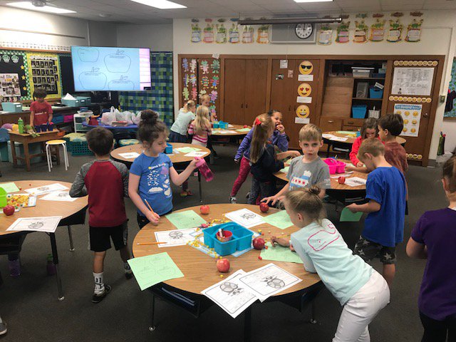 Katie Oplawski-Sedlacek tweet media