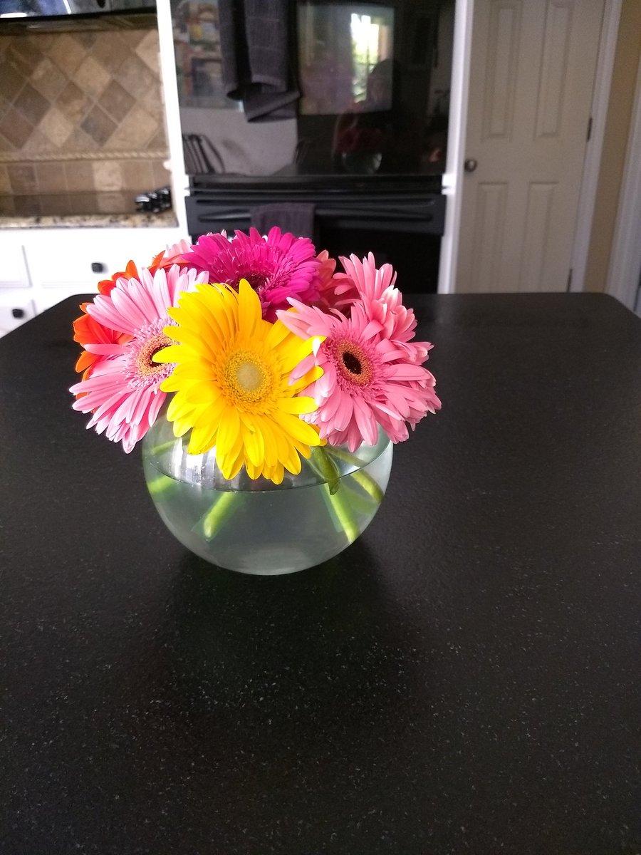 mathmomoftoo's tweet photo. #BCTALBlooms #BISDshines
Enjoying my Bright Welcome https://t.co/dos0Tmotjm