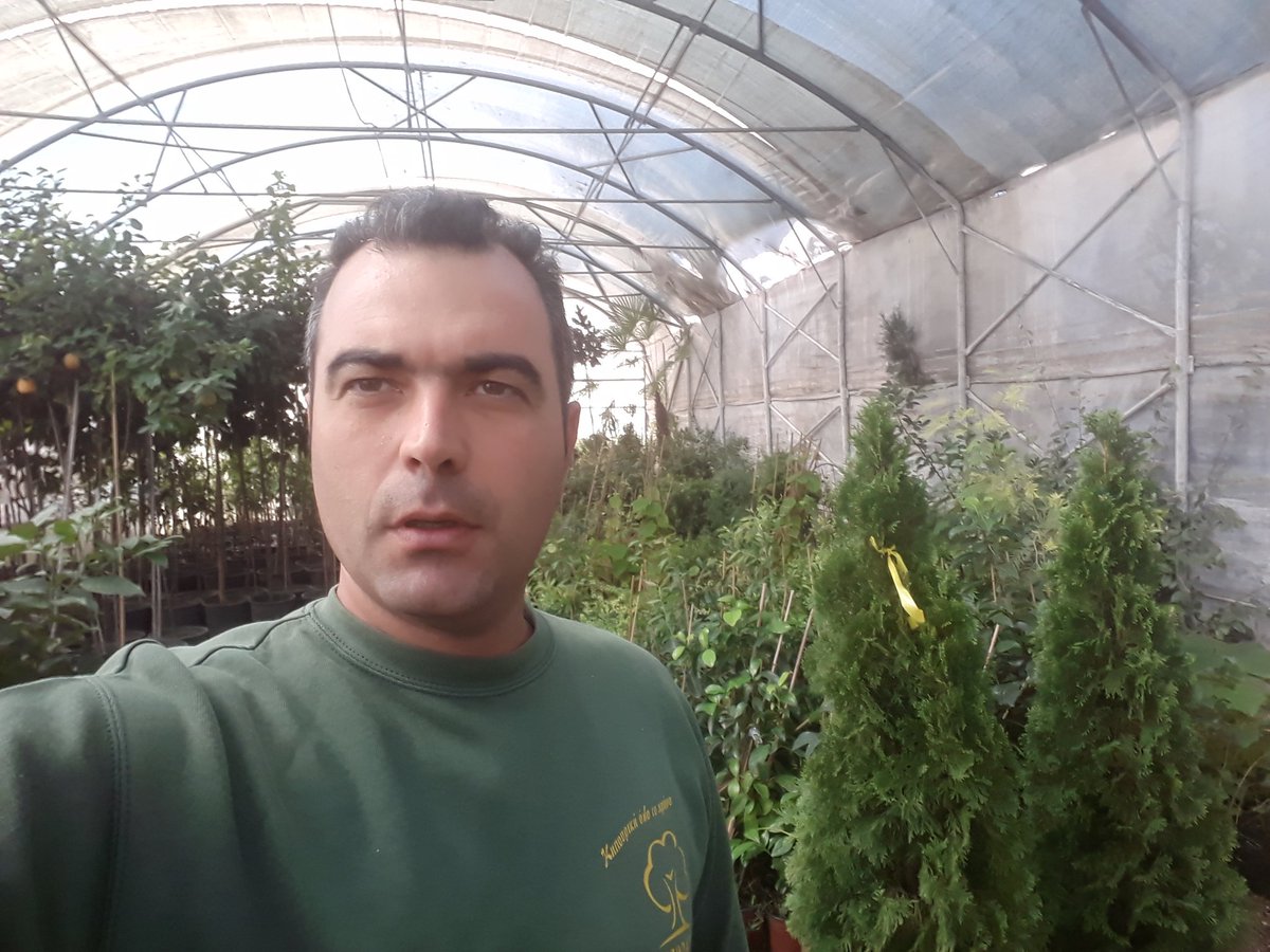 KostasMisialis's tweet photo. #always we #choose the #best #plant's .... #misialis #captaingardens #realgarden #gardener #landscape #gardening https://t.co/skS1IbruRG