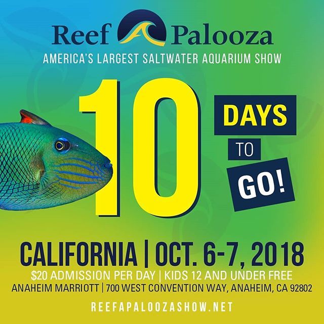 CoralVue's tweet photo. Are you coming to Reef-A-Palooza? Stop by booth 507 and say hi! #gear #equipment #coralvue #reefapalooza #klirfilter #maxspect #icecapaquariumproducts #reefkinetics #alkatronic #reefendurance #reefoctopus #octo #giesemann #icpanalysis #abyzz https://t.co/yw1UUiUyUx