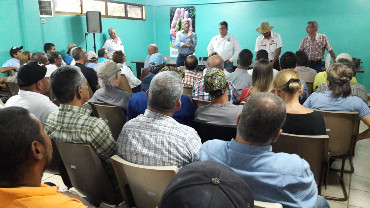 AncaDigital's tweet photo. "La producción de soya, sí es posible". Así quedó claro en este día campo organizado por Fondesoya, en Turén, que inició con destacadas ponencias en la sede de @asopruat y luego se hizo una evaluación del cultivo en lotes de productores aliados.
#Fondesoya #Turén #26Sep #ANNCA https://t.co/uRQlJkLnVw