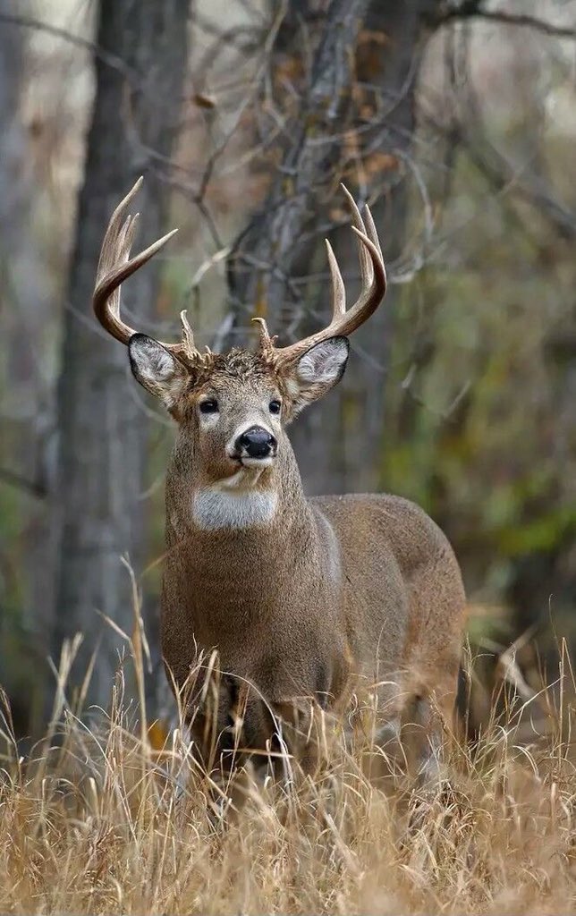 It’s almost that time 🙌