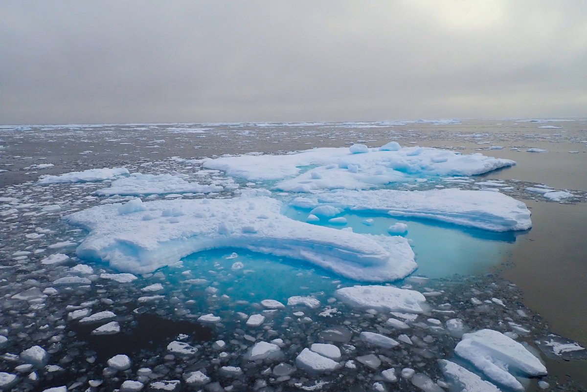 R/V Sikuliaq, Alaskan Arctic: phase 3 of the cruise takes us northeast of the sea ice patch we were near in phase 2. This sea ice edge has been concentrated by the winds and makes a contrast to the spread-out ice floes in the south.