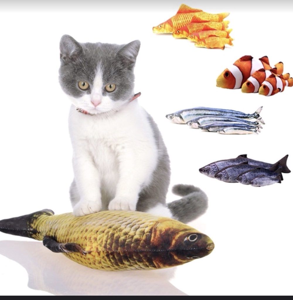 AlinoBerj's tweet image. Oo tama yan girl baka taga ibang planeta yan mahirap na😂😂😂
#ABSCBNBallFanFave Maymay Entrata 
#ABSCBNBallFanFave Edward Barber 
#PushAward Mayward #Mayward 
@maymayentrata07 @Barber_Edward _ 
#DYisIsIt MANILA SHANAWA BY MAYMAY ENTRATA