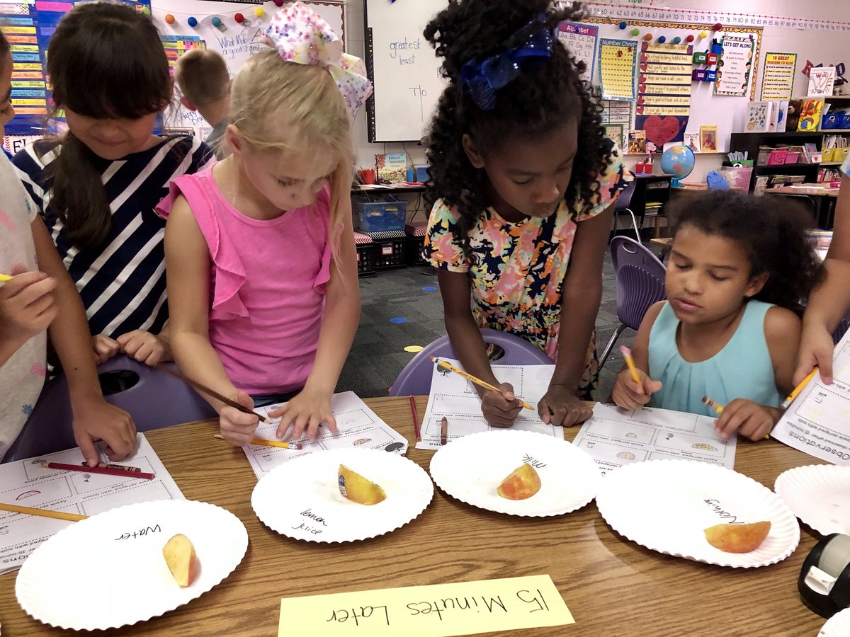 MrsBGray1's tweet photo. Johnny Appleseed Day- Mrs. Gray’s 2nd GR. Class: voting on favorite apple, graphing results, experiment to see which liquid would keep apples from turning brown the longest. #FESTeamwork #FES2018 https://t.co/BVcHivFBVb