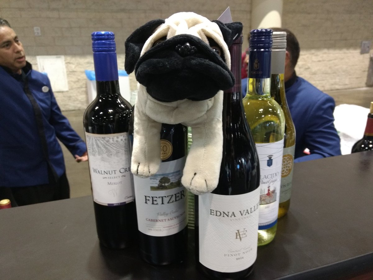 erucsbo's tweet photo. More sophisticated pugs at #MSIgnite opt for a glass of vino instead. Red or white or both is your choice but remember that pugs don't hold long stem glasses upright very well and #TransVault doesn't provide a carpet cleaning service. https://t.co/YYChtpUZVv