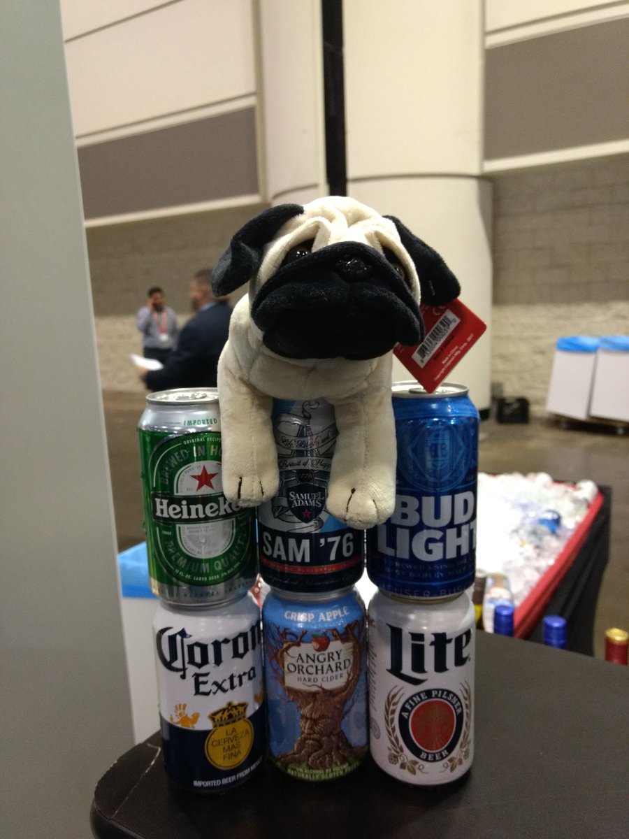 erucsbo's tweet photo. Before drinking. Afterwards it is hard to see the pug under the beer can pile at #MSIgnite. #TransVault doesn't encourage getting your pug drunk. https://t.co/VSas5DthL2