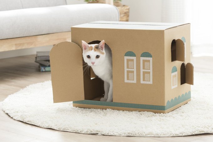 段ボールのキャットハウス猫の家はカインズで買える 作り方やネットの口コミまとめ 引き寄せの扉