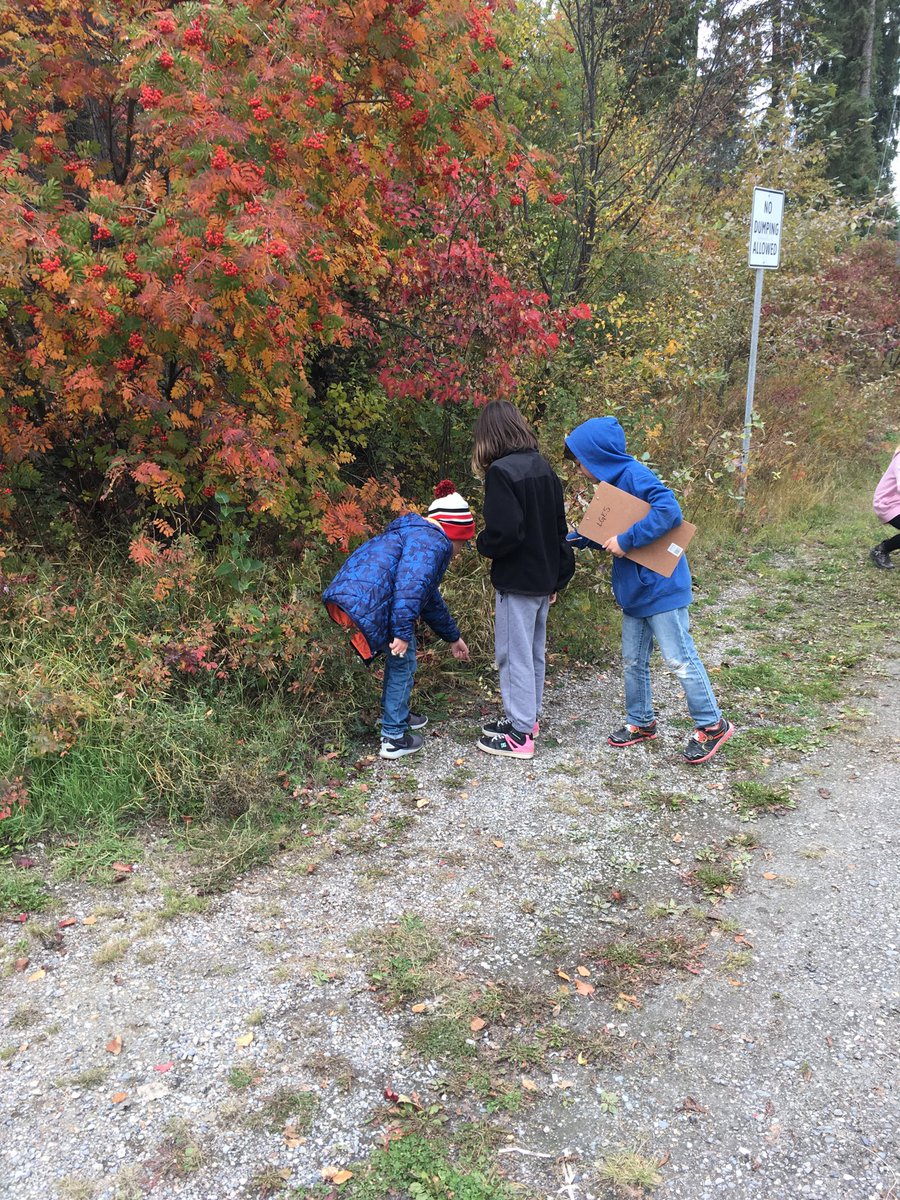 LaurieMac49's tweet photo. Went out for a scavenger hunt today. #sd6outside #sd6learns @LadyGreySchool1 https://t.co/1mYwKSto6u